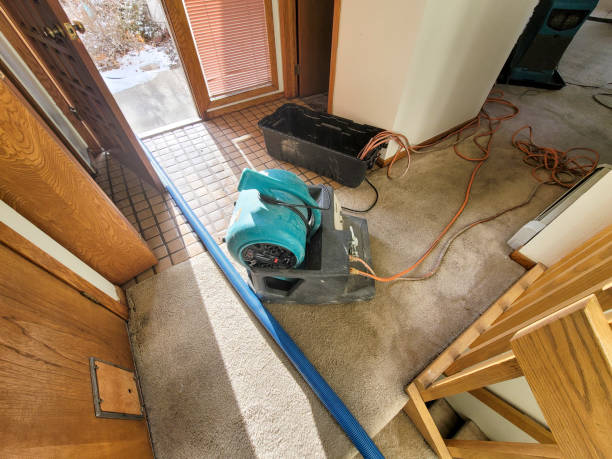 Best Water damage cleanup near me  in River Oaks, TX
