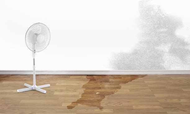 Best 24/7 water damage repair  in River Oaks, TX