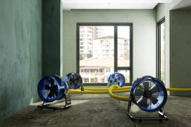 Water damage restoration process in River Oaks, TX